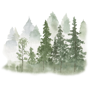 Fondant - Balade en Forêt - Vignettes - (1)