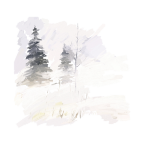 Fondant - Balade en Forêt - Vignettes - (3)