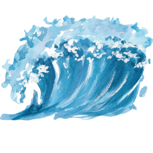 Fondant - Brise Marine - Vignettes - (5)