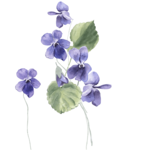 Fondant - Violette & Rose - Vignettes - (7)