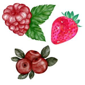 Fondants onctueux - Fruits Rouges - Vignettes - (2)