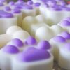 Fondants pour La LISA - (7)