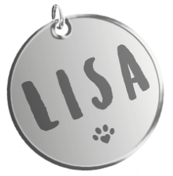 Logo - Médaille Association LISA